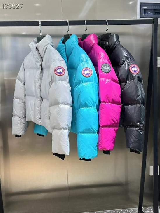 Picture of Canada Goose Down Jackets _SKUCanadaGooseXS-XL26yr1637798